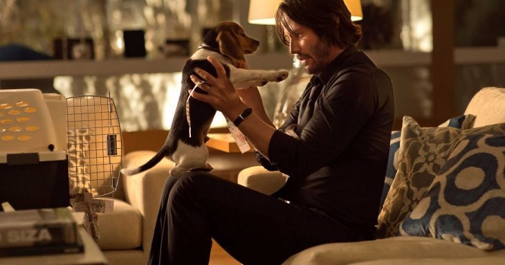 perrito john wick