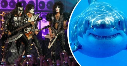 Kiss tocarà concierto para tiburones