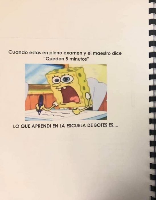 tarea meme