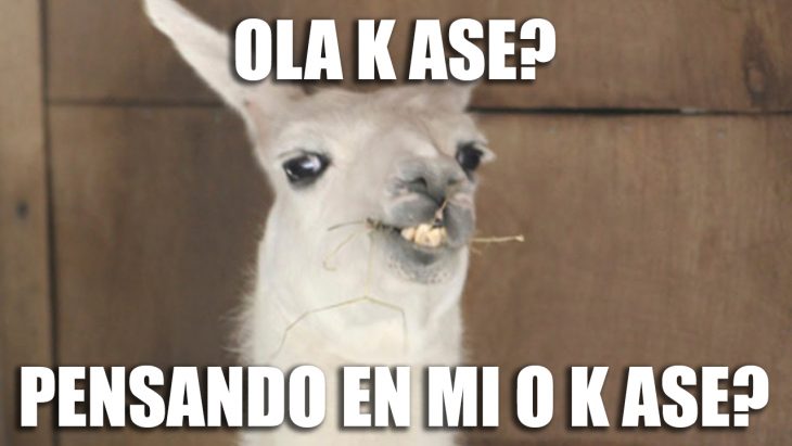 ola ke ase