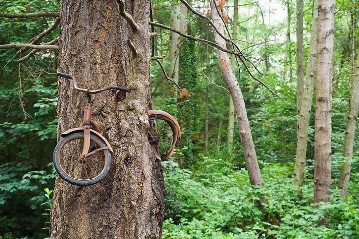 la naturaleza reclamando lo que es suyo