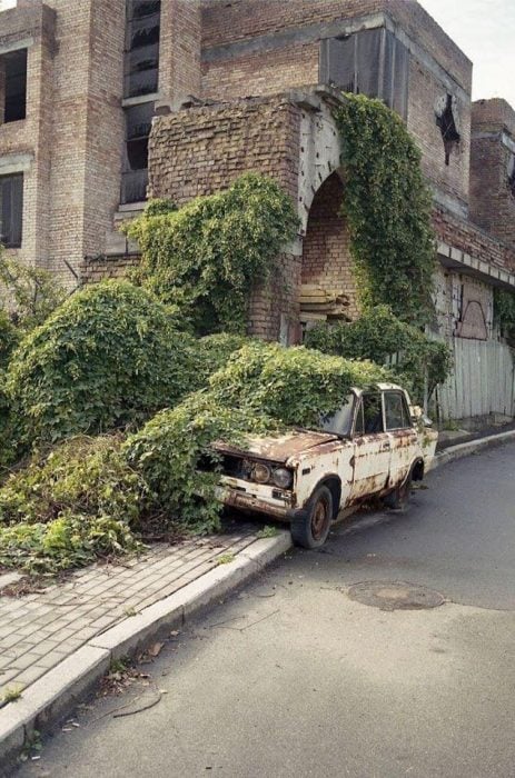 la naturaleza reclamando lo que es suyo