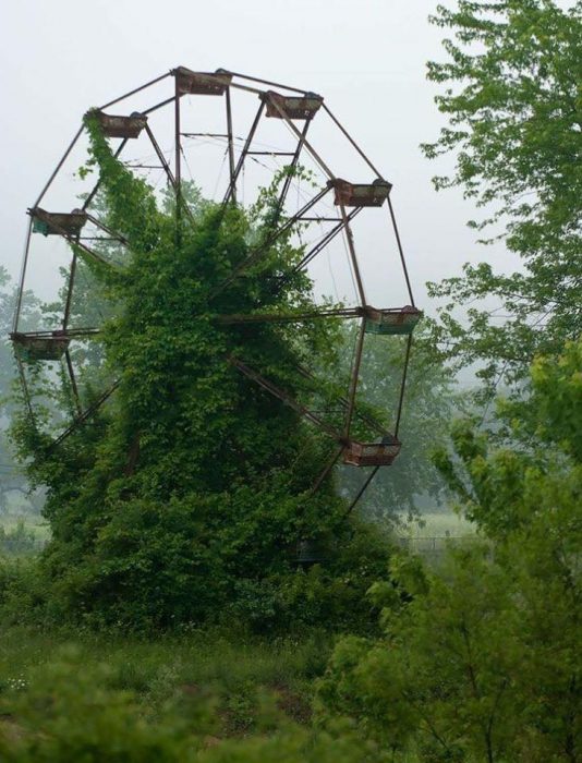 la naturaleza reclamando lo que es suyo