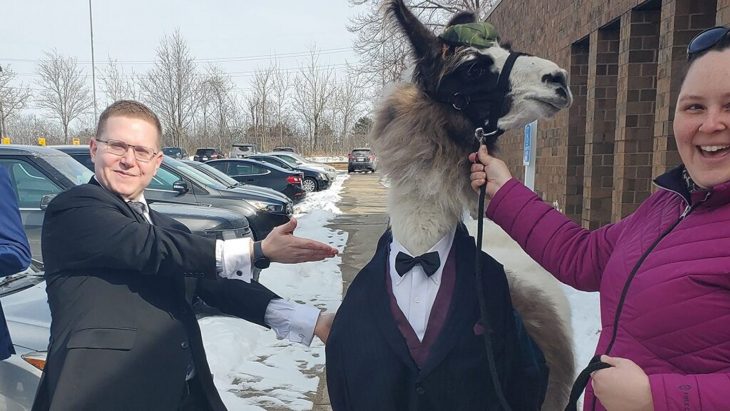 llama en boda de hermana