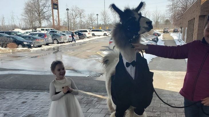 llama en boda de hermana