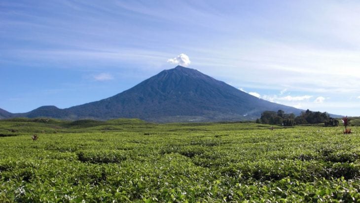 Kerinci