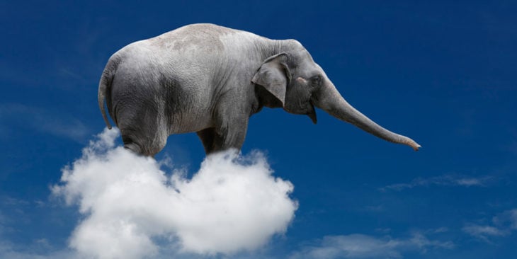 elefante nube