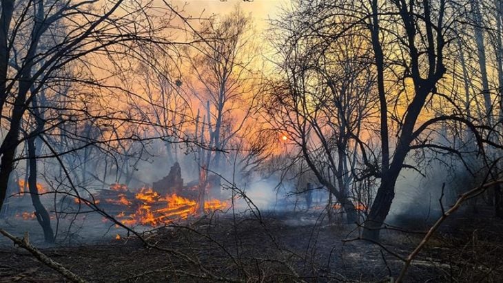 incendios chernobil