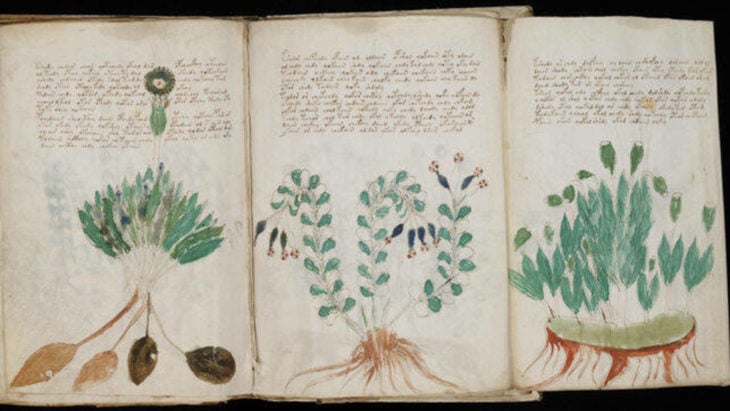 Manuscrito Voynich