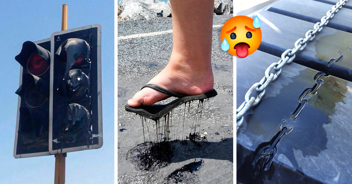 22 Imágenes que muestran el horror del calor excesivo