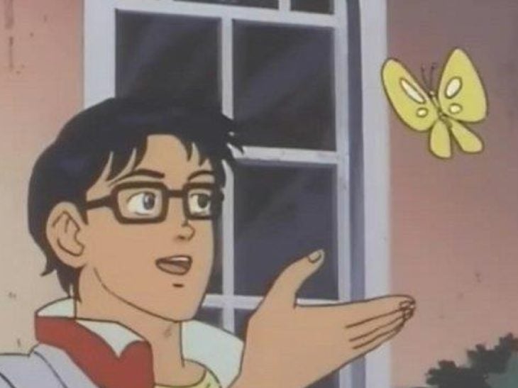meme mariposa