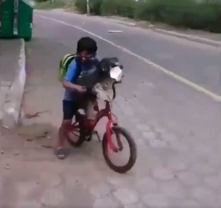 niño perrito cubrebocas