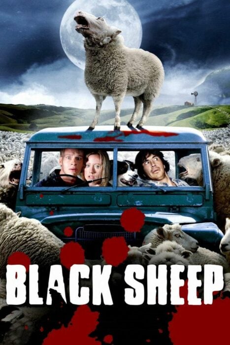 Black Sheep