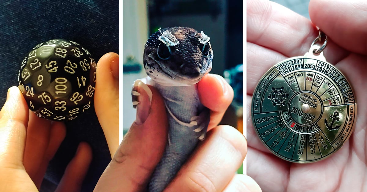 13 Imágenes que muestran cosas verdaderamente asombrosas