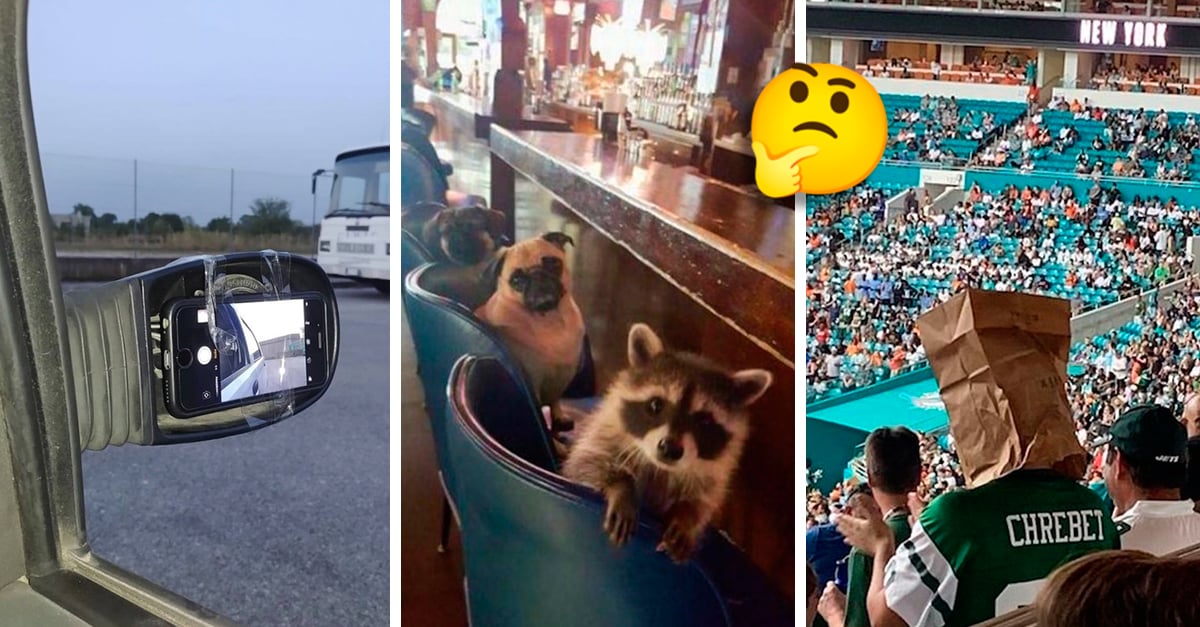 20 Cosas muy extrañas que no se ven todos los días