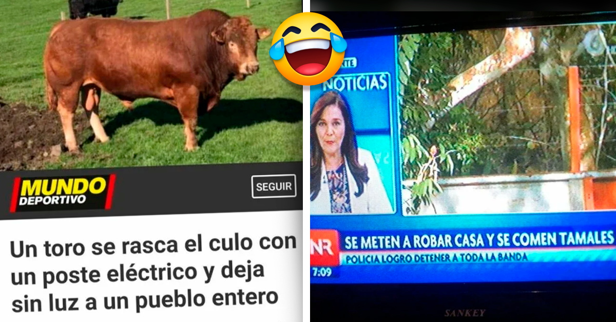 20 Noticias cómicas que parecen mentira pero son 100 reales