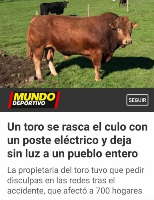 noticias en mi país