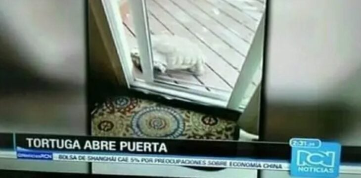 noticias en mi país