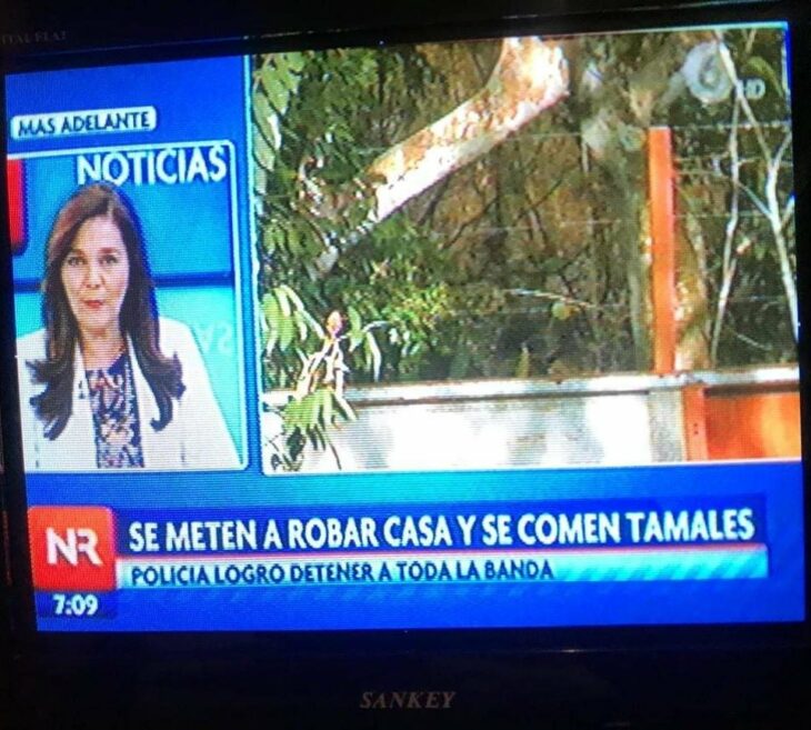 noticias en mi país