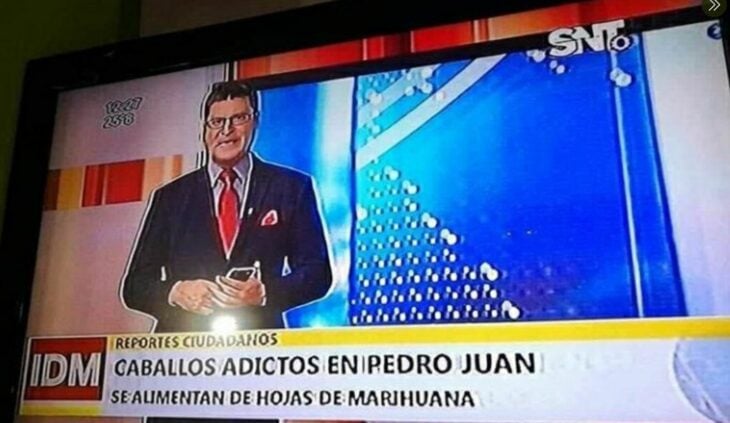 noticias en mi país