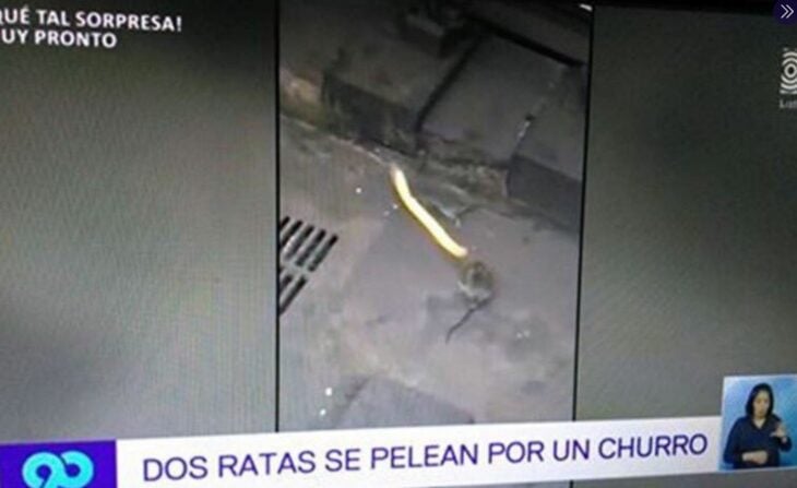 noticias en mi país