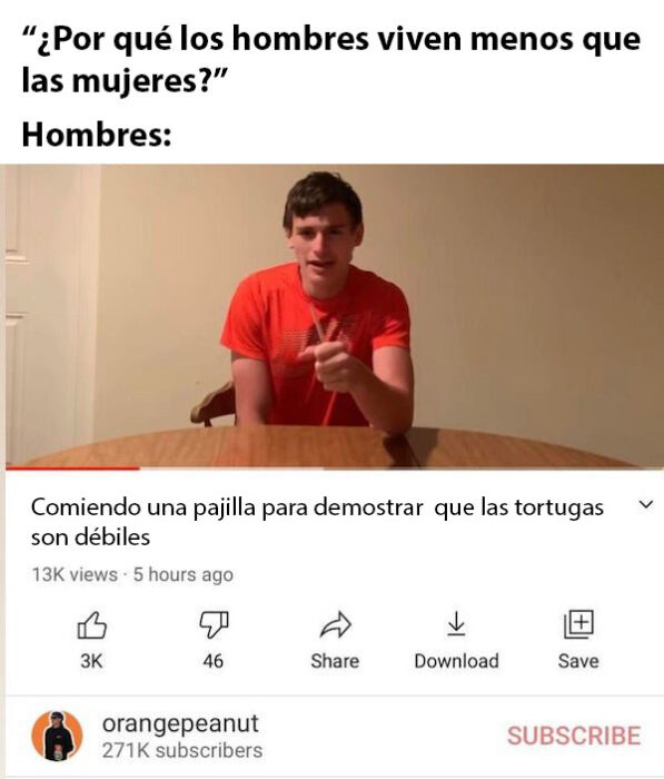 tontos haciendo tonterías