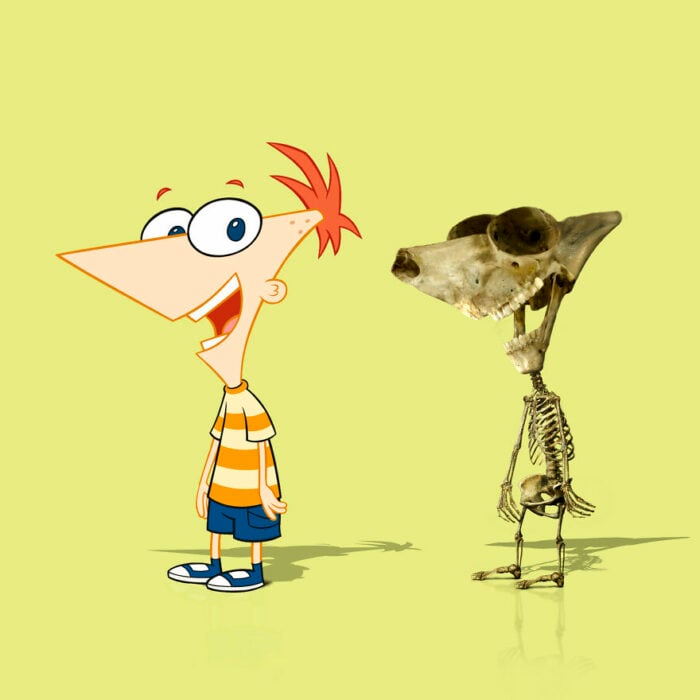 phineas