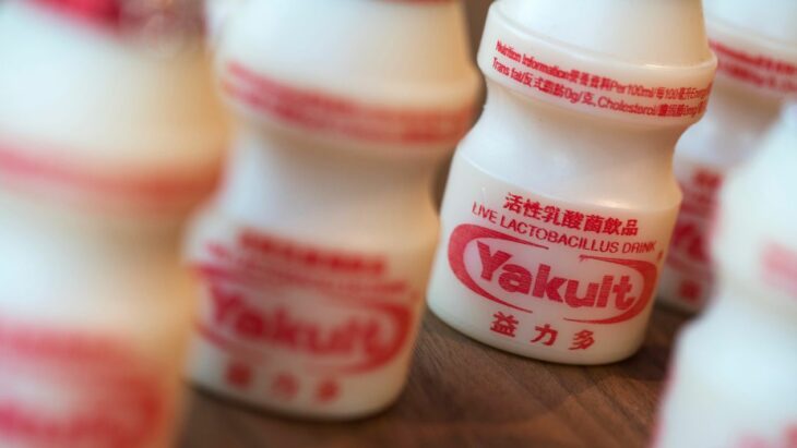 yakult