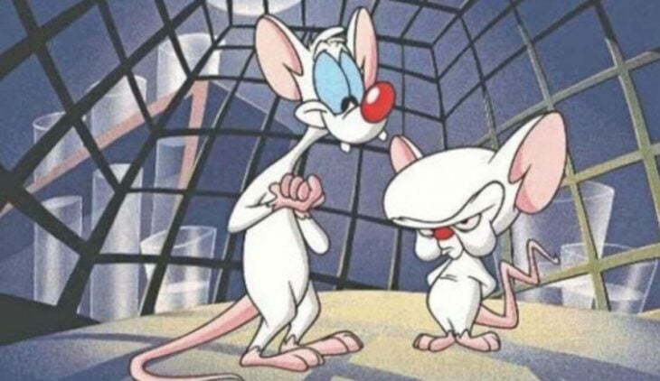 Pinky y cerebro