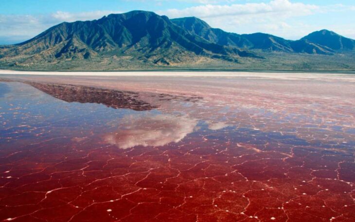 Lago Natron