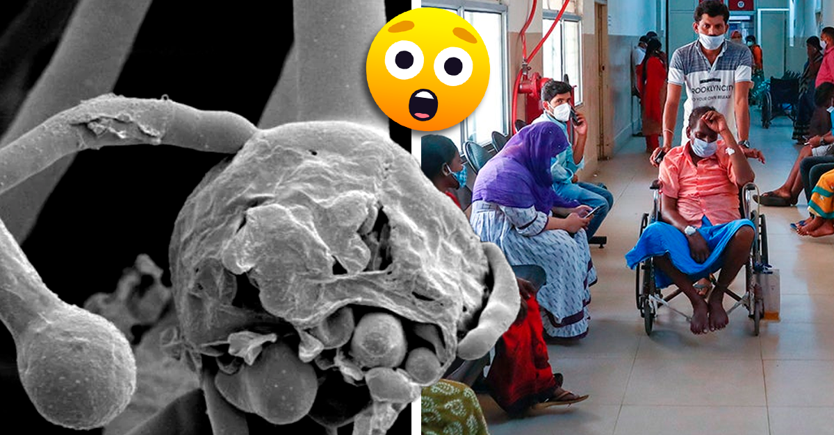 Epidemia de hongo negro complica situación en India