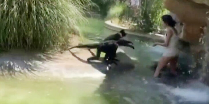 Woman climbs into monkey exhibit at El Paso Zoo