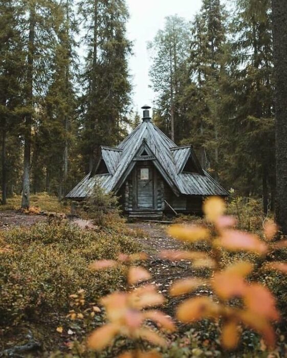 cabañas en el bosque