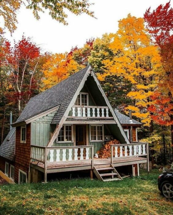 cabañas en el bosque