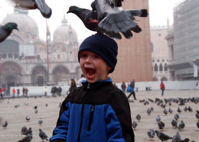 Alimentar palomas en la plaza