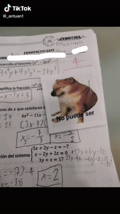 Examen con un 4 de calificación meme de perro exclama que no puede ser profe antuan