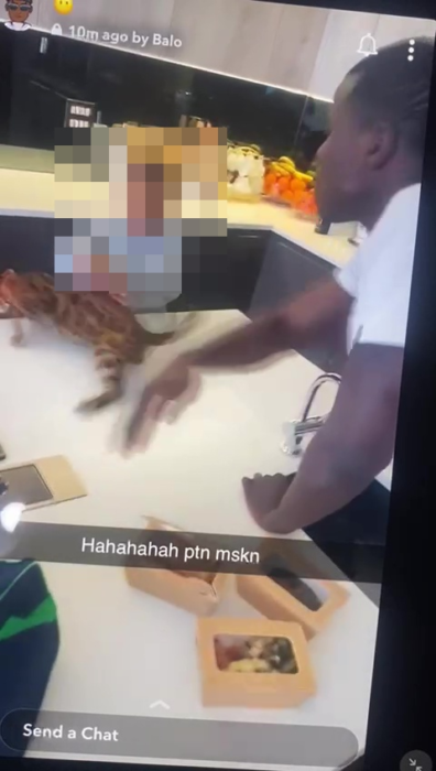 Kurt Zouma defensor de West Ham abofetea a su gato frente a un niño