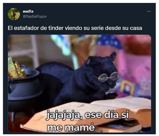 gato meme estafador de tinder riéndose de sus propias tropelías