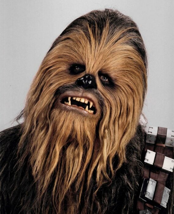 Chewbacca; 18 Fobias extrañas que no sabías que existían y que quizá tengas 