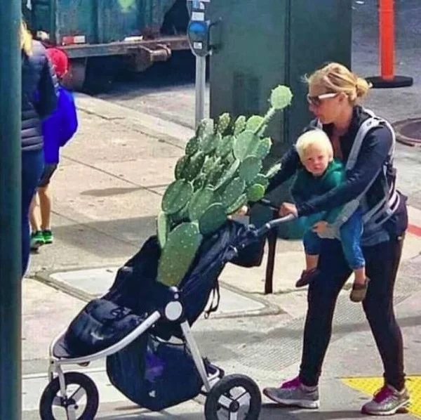 Bebé y cactus