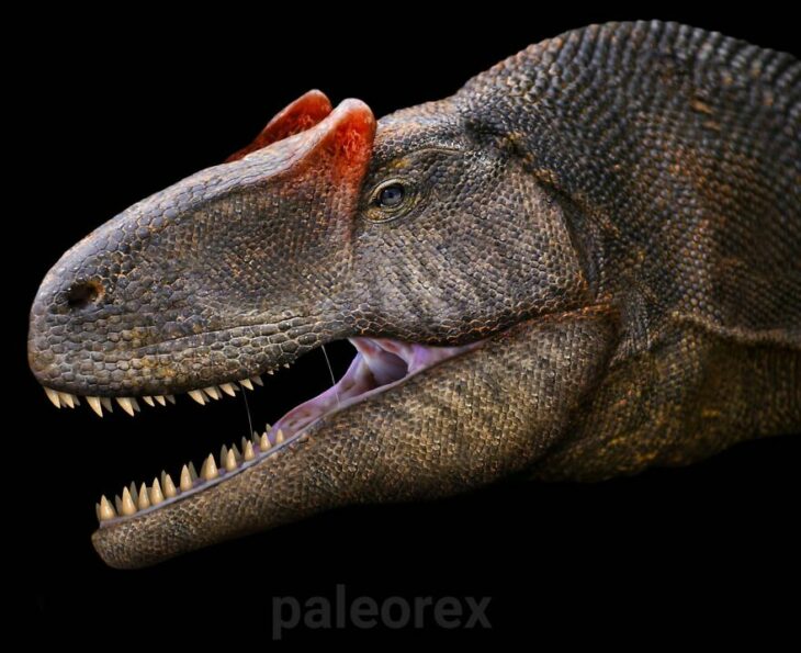 Allosaurus