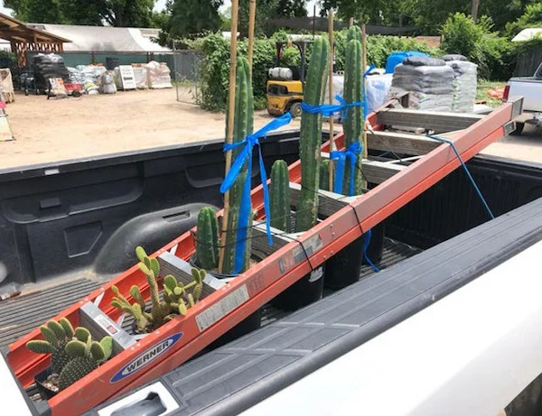 Transporte de plantas