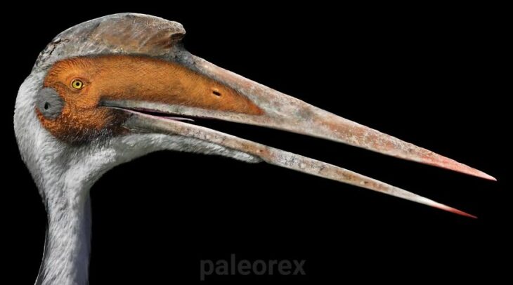 Quetzalcoatlus