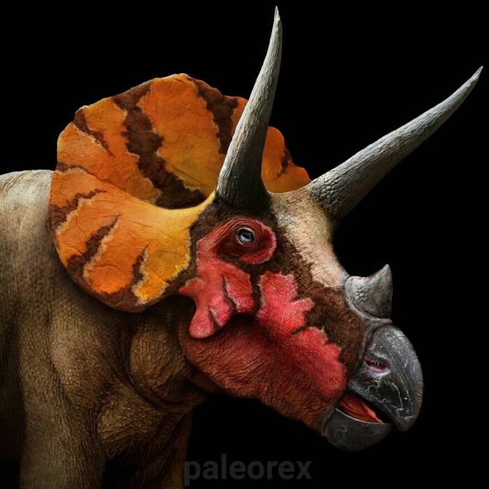 Triceratops