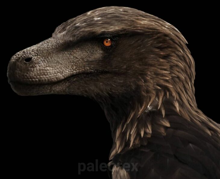 Utharaptor