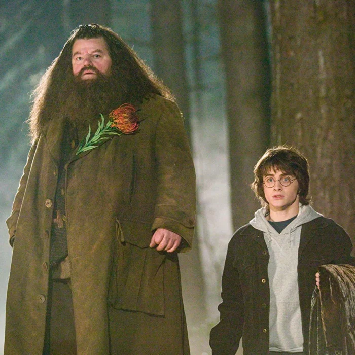 Harry y Hagrid