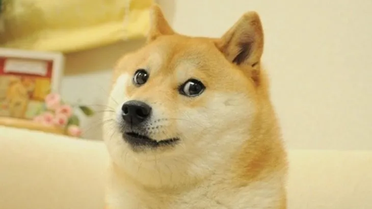 Dogememe