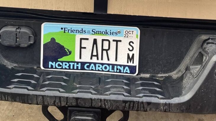 Friends of the smokies placa de FART