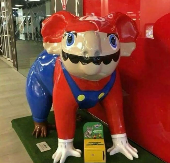 Mario Koala