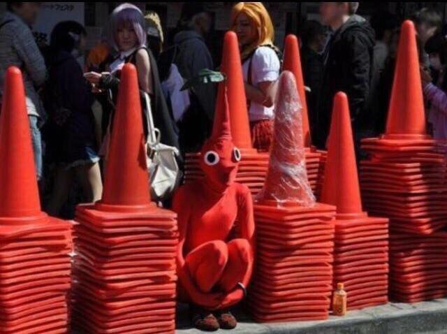 Camuflaje pikmin